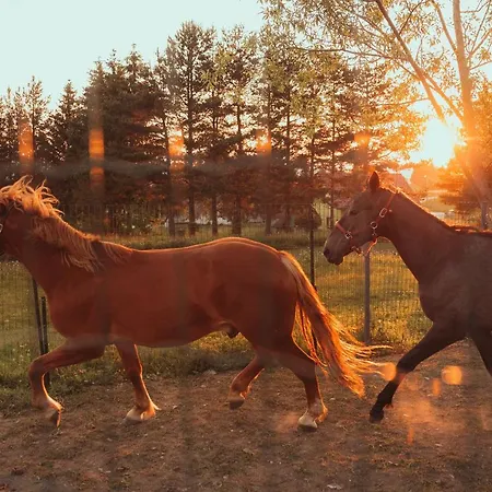 House Bebic * Kupres (Canton 10)