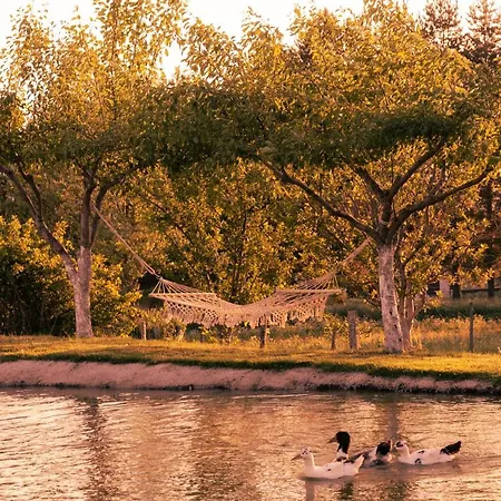 House Bebic * クープレス