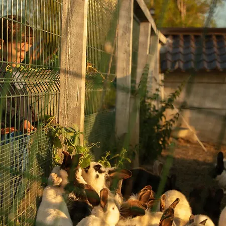 シャレー House Bebic *