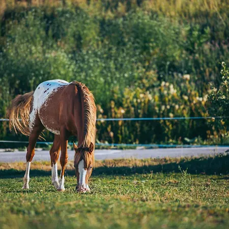 シャレー House Bebic